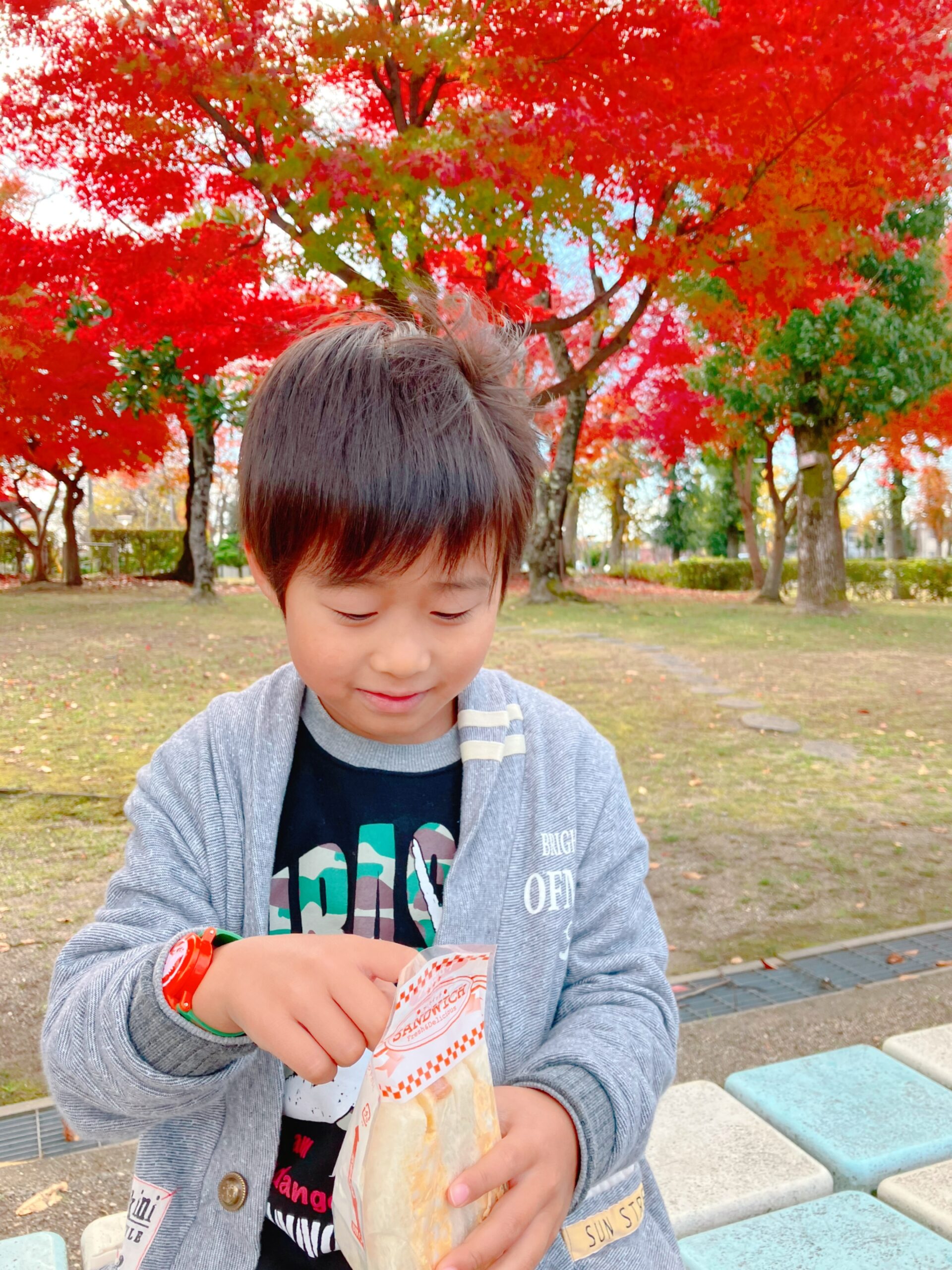 撮りにこんせ‼フォトコンテスト|滋賀・長浜北部|11月18日4枚目 紅葉とたまごサンド
